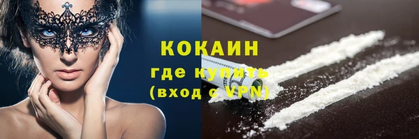 хмурый Алзамай
