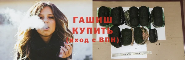 хмурый Алзамай