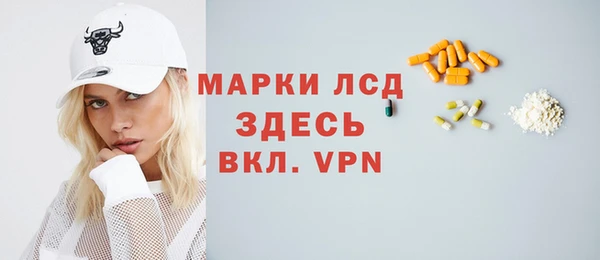 хмурый Алзамай