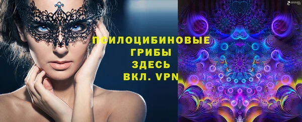 ПСИЛОЦИБИНОВЫЕ ГРИБЫ Алексеевка