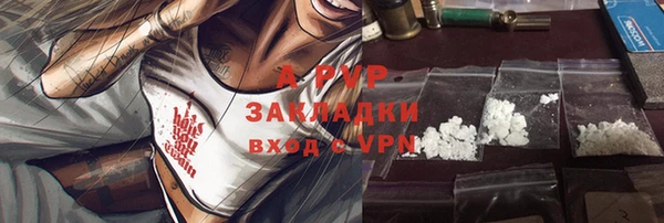 хмурый Алзамай